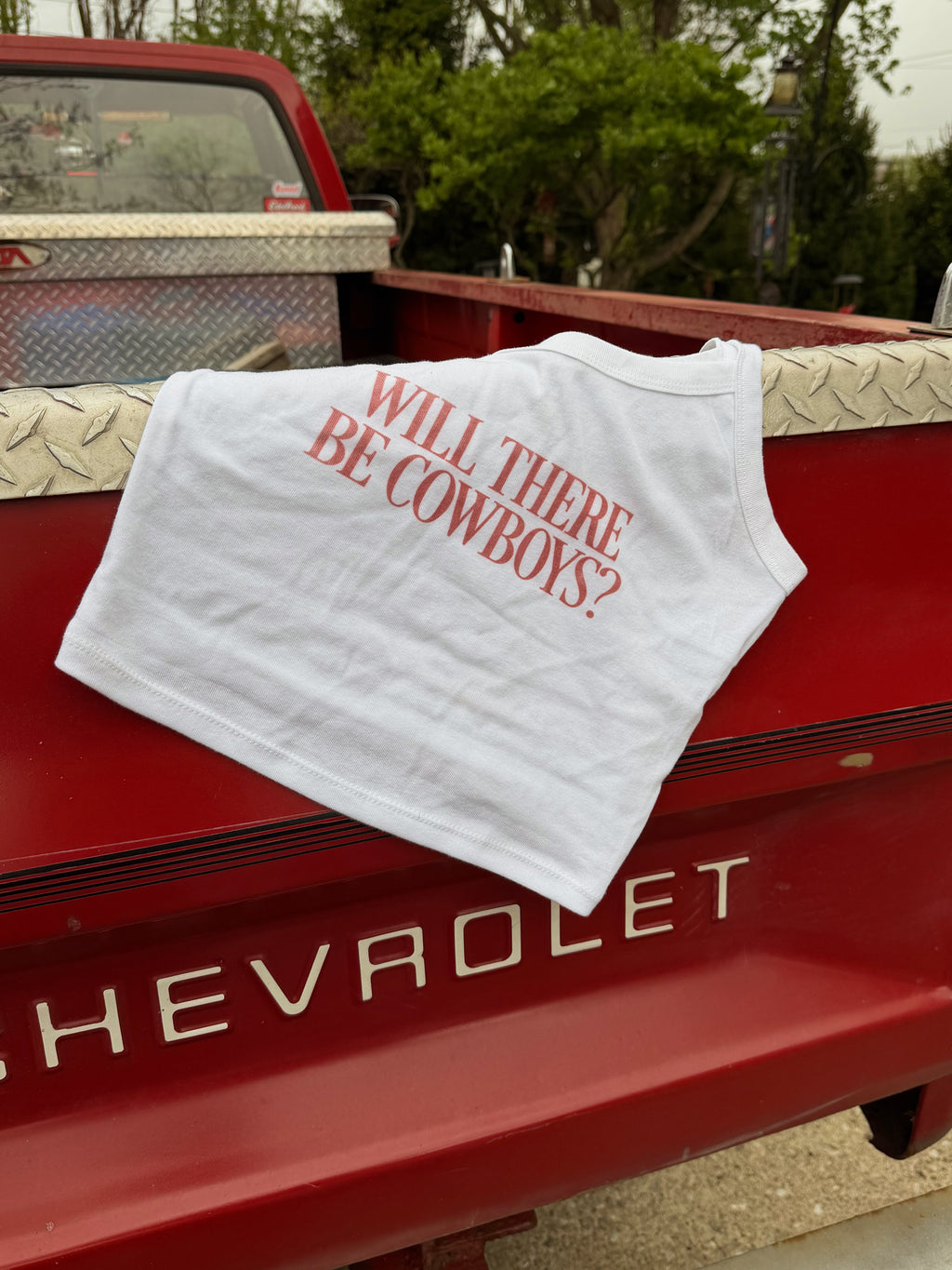 Will There Be Cowboys Tank