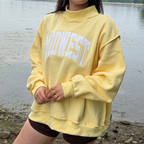 Midwest Mockneck Sweatshirt