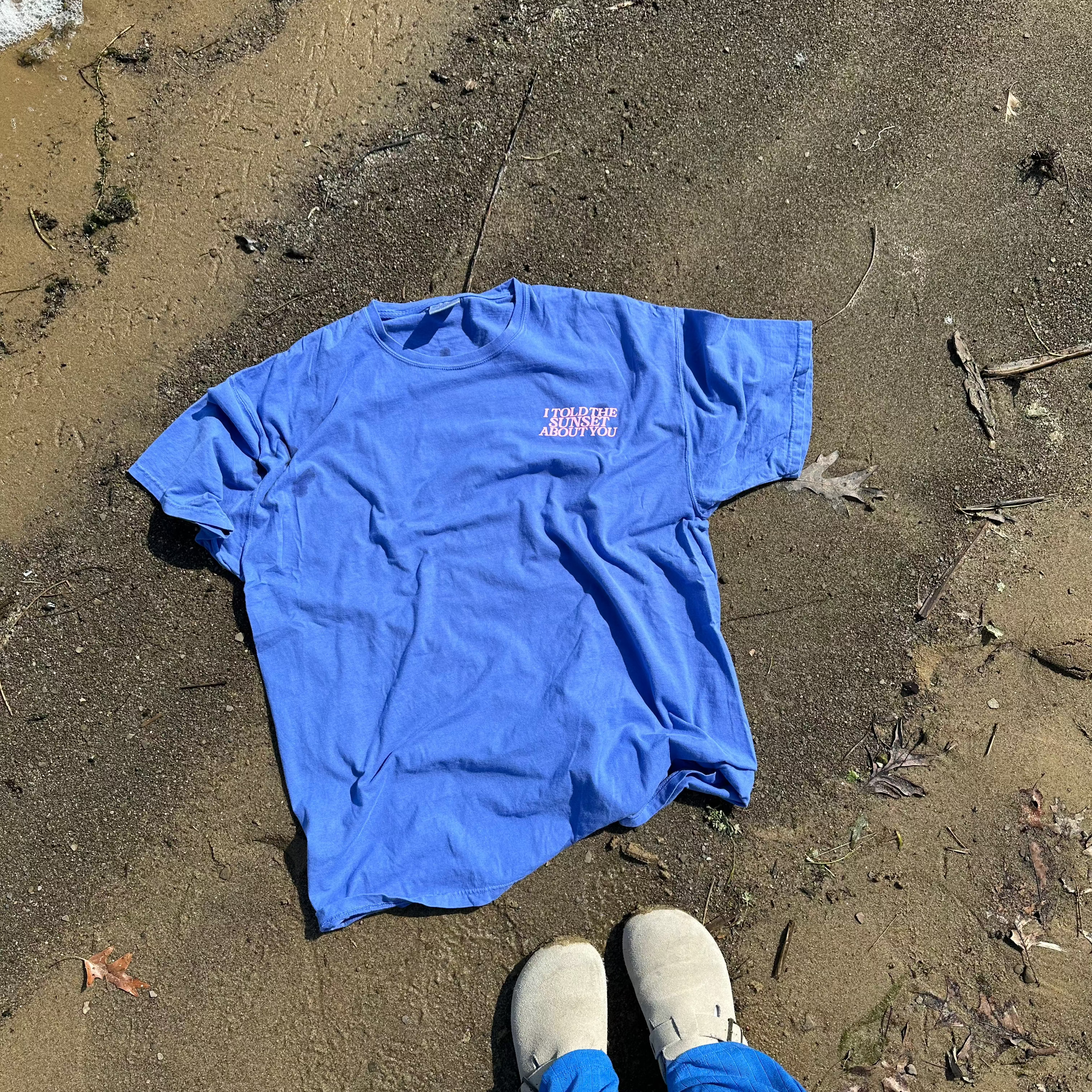 I Told The Sunset Sweatshirt or T-Shirt