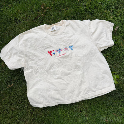 America Icons Boxy Crop Tee