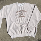 Halloweentown University Tan Sweatshirt